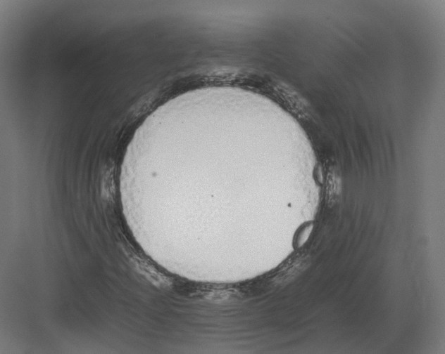 X0000082141204200702162134