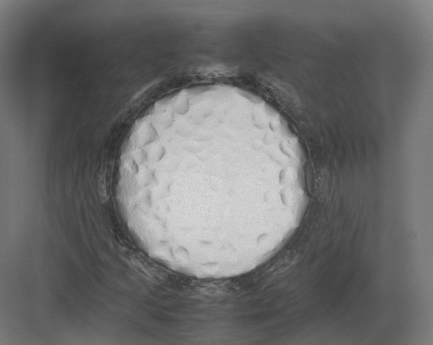 X0000082141205200702162134