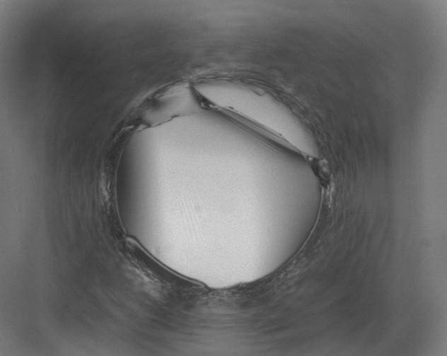 X0000082141206200702162134