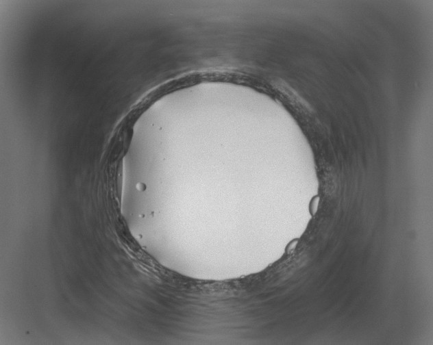 X0000082141208200702162134