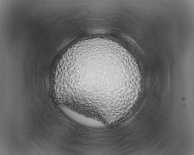 X0000082141209200702162134