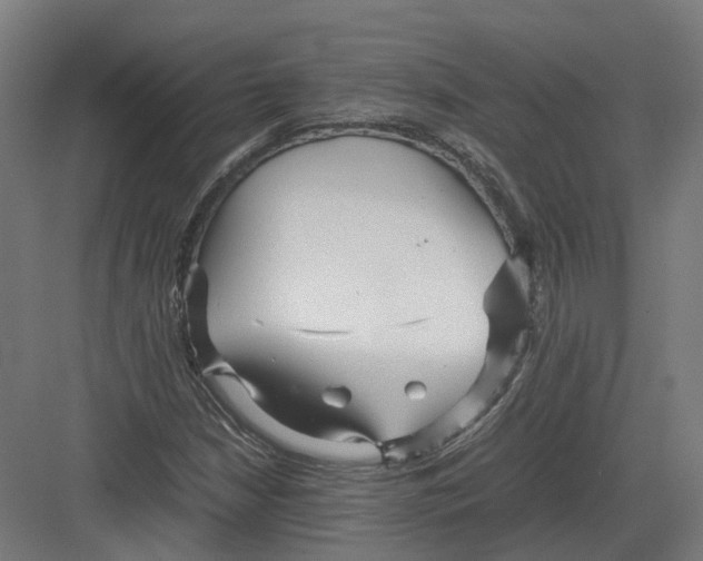 X0000082141210200702162134