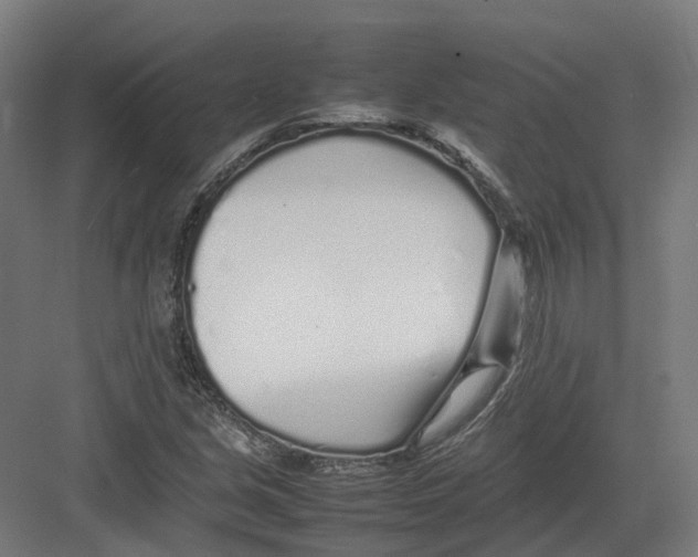 X0000082141213200702162134