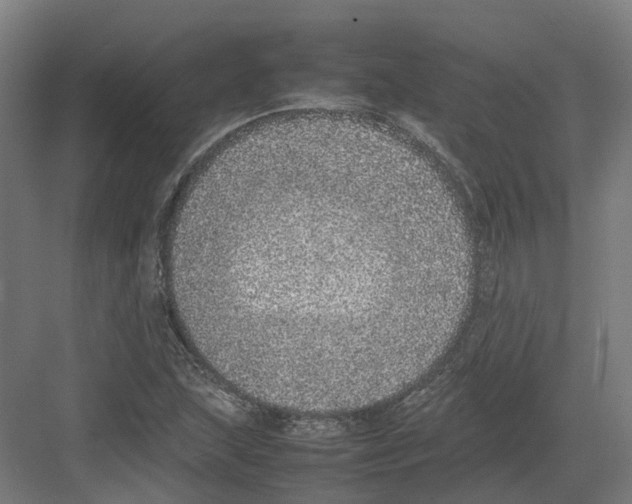 X0000082141215200702162134