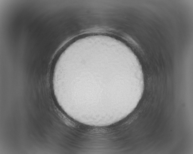 X0000082141216200702162134