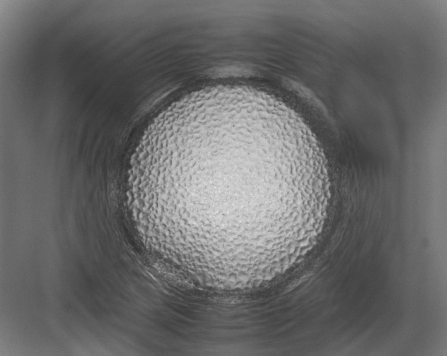 X0000082141217200702162134