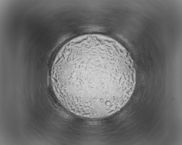 X0000082141219200702162134