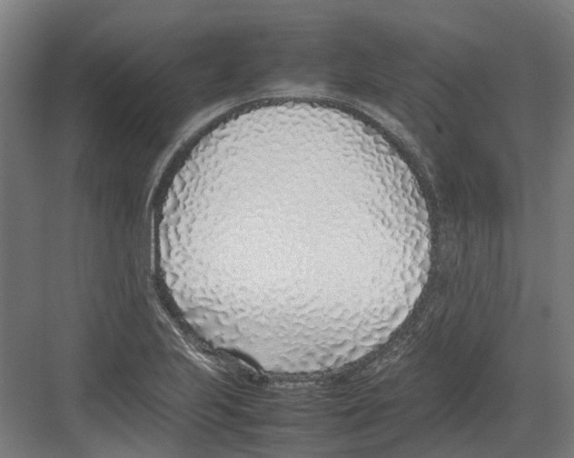 X0000082141223200702162134