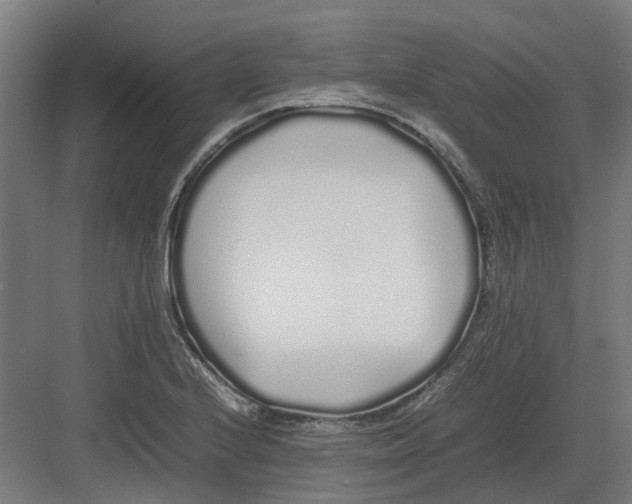 X0000082141224200702162134