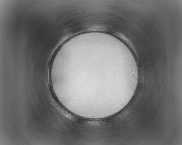 X0000082141227200702162134