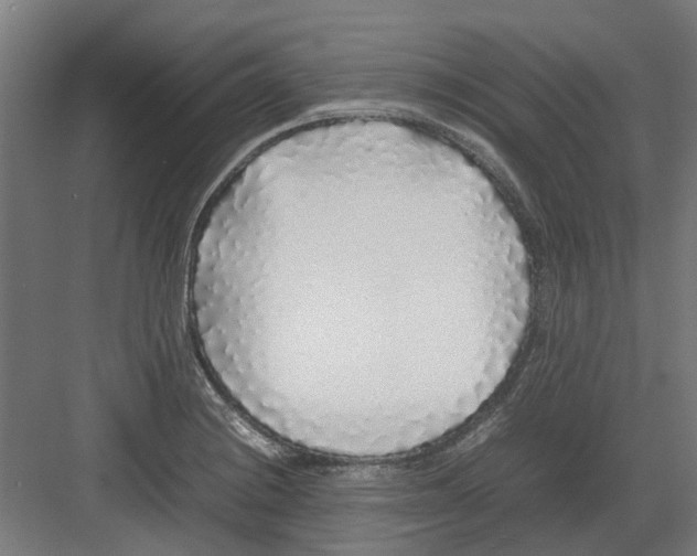 X0000082141228200702162134