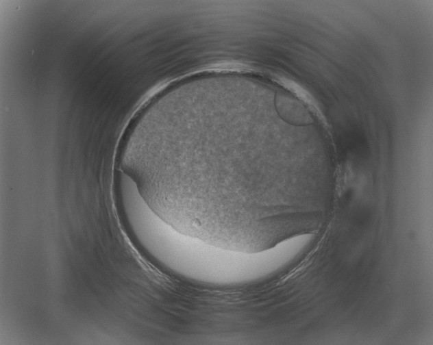 X0000082141229200702162134