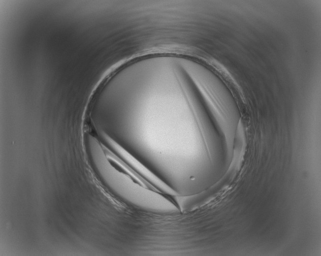 X0000082141230200702162134