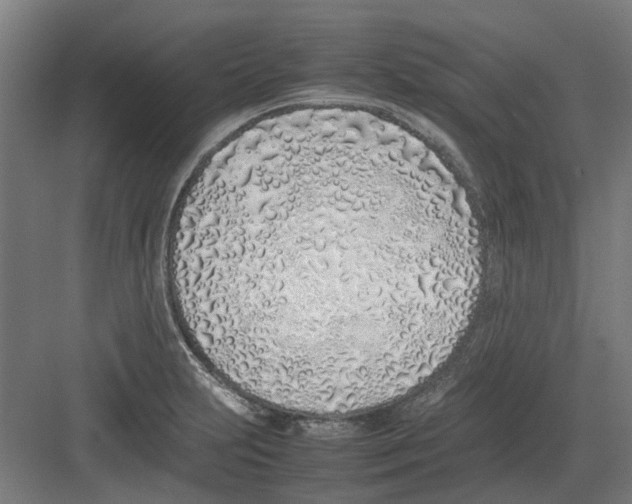 X0000082141231200702162134