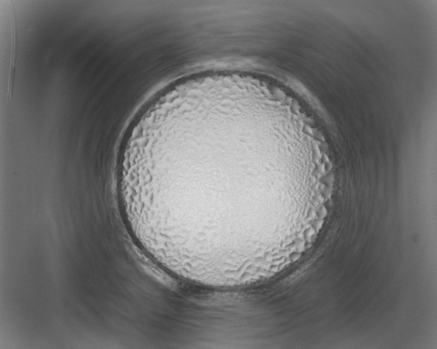 X0000082141232200702162134