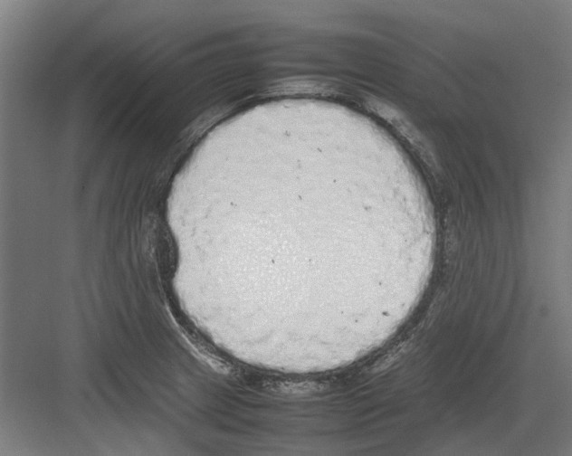 X0000082141233200702162134