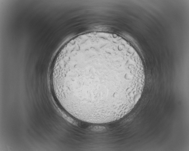 X0000082141235200702162134