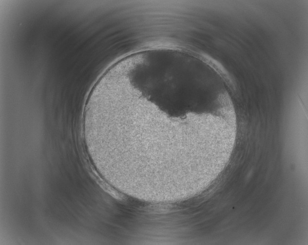 X0000082141236200702162134