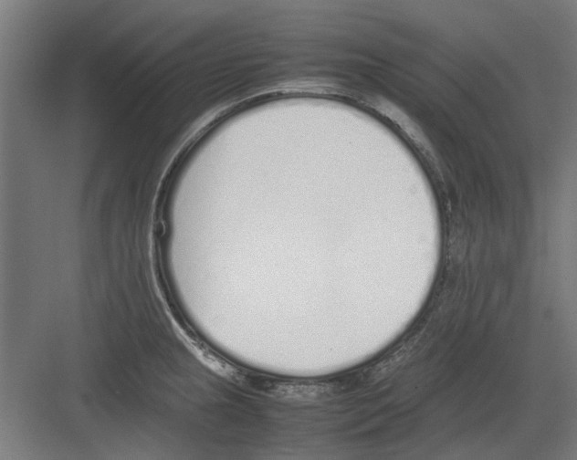 X0000082141237200702162134