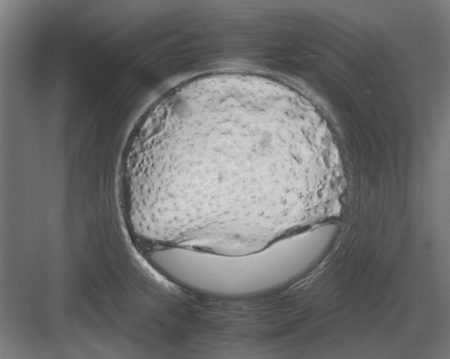 X0000082141239200702162134