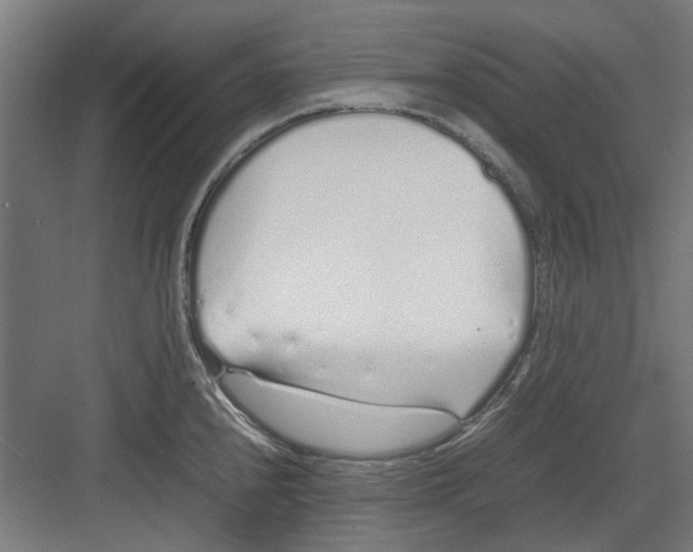 X0000082141240200702162134