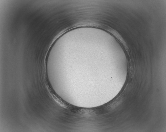 X0000082141242200702162134