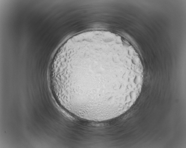 X0000082141243200702162134