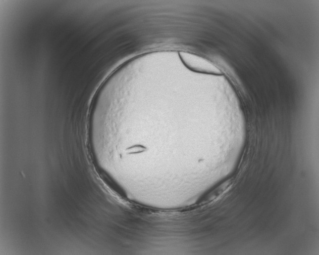 X0000082141244200702162134