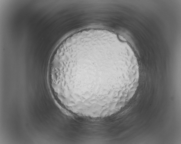 X0000082141245200702162134