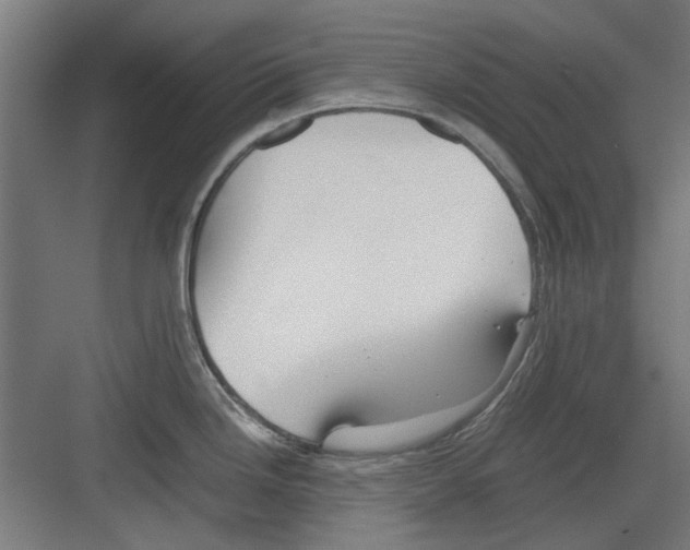 X0000082141246200702162134