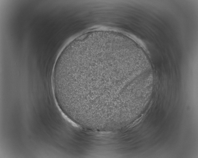 X0000082141247200702162134