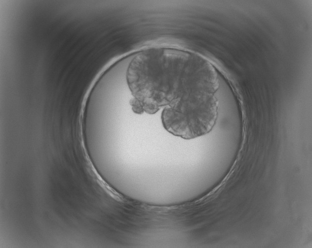 X0000082141248200702162134