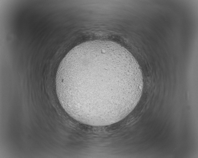 X0000082141249200702162134