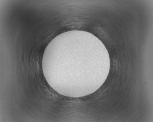 X0000082141250200702162134