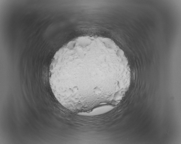 X0000082141251200702162134