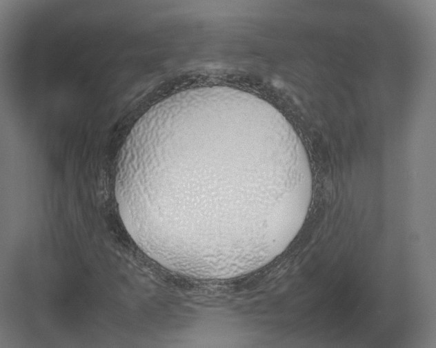 X0000082141253200702162134