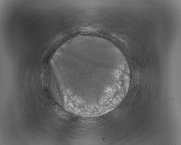 X0000082141254200702162134