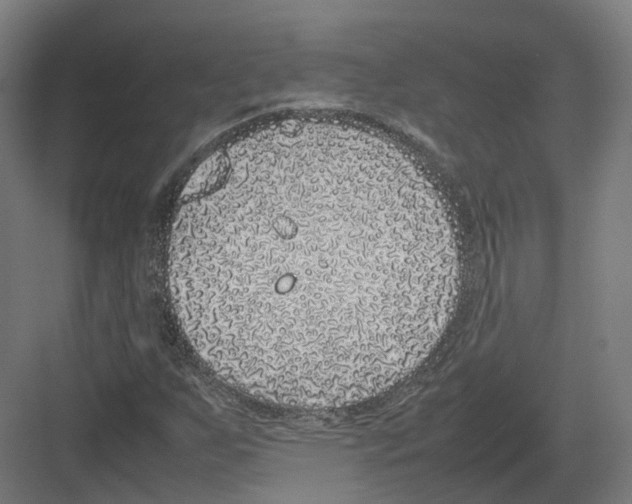 X0000082141255200702162134