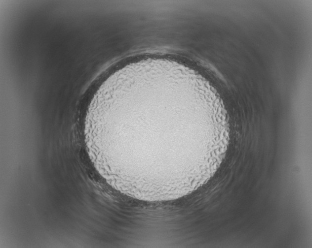 X0000082141256200702162133