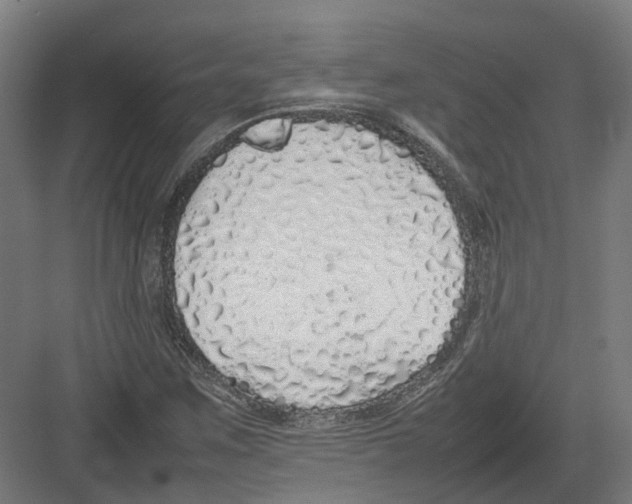 X0000082141259200702162133