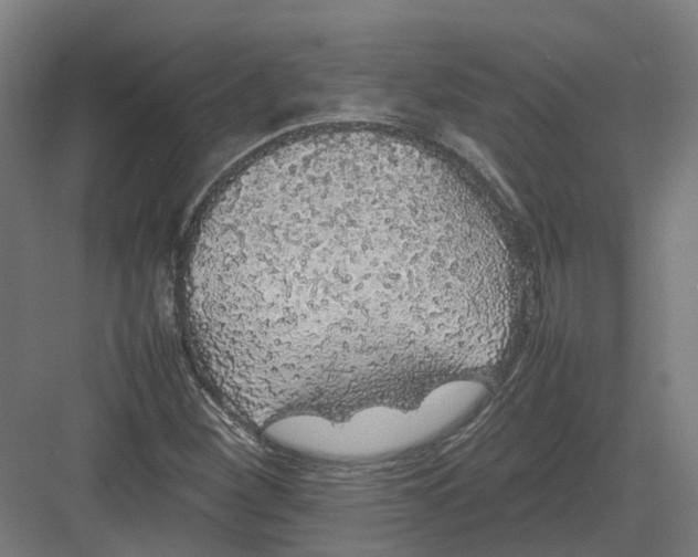 X0000082141260200702162133