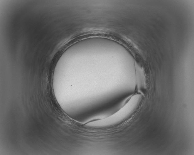 X0000082141261200702162133