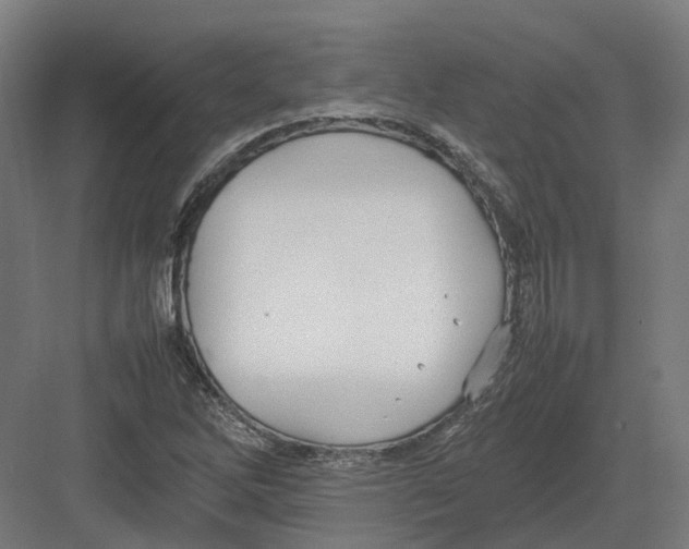 X0000082141262200702162133