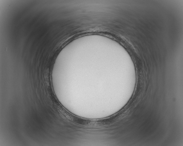 X0000082141265200702162133