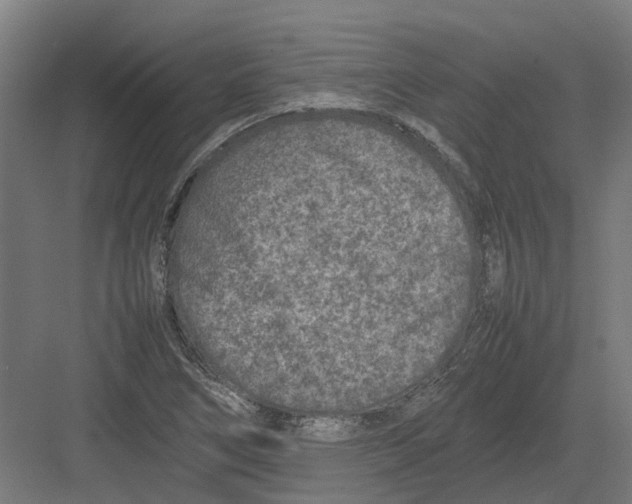 X0000082141266200702162133