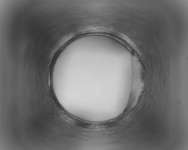 X0000082141269200702162133