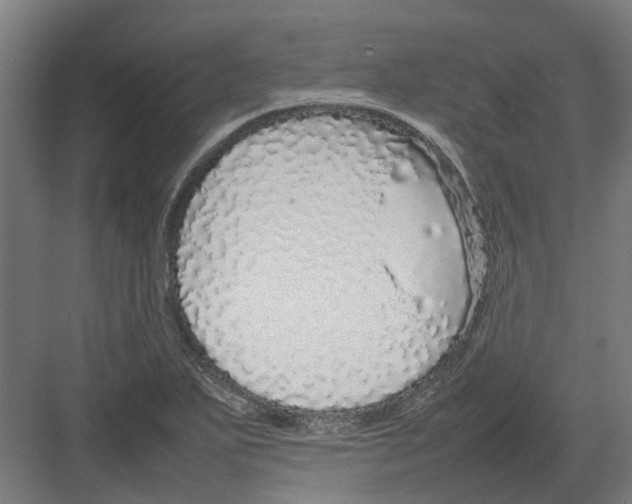 X0000082141271200702162133