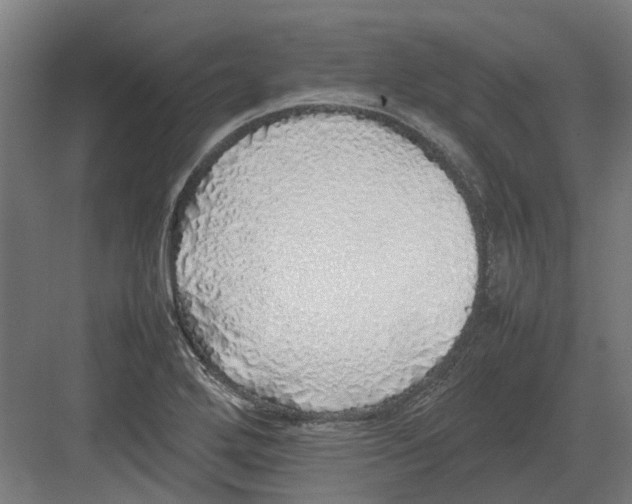 X0000082141272200702162133