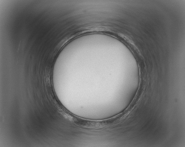 X0000082141273200702162133