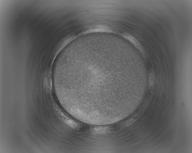 X0000082141274200702162133